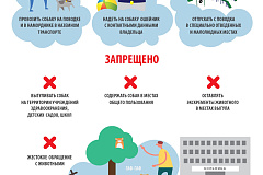 Правила содержания и выгула собак.